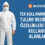 Tek Kullanımlık Kullanım Alanları